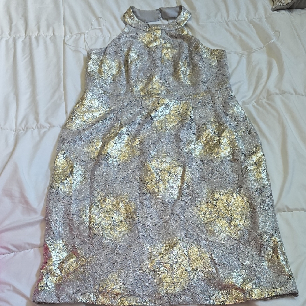 Scarlett Silver and Gold Dress